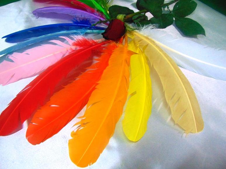 Piume colorate H 29 cm.  - Sconto per Fioristi e Aziende - conf. monocolore da 6 piume