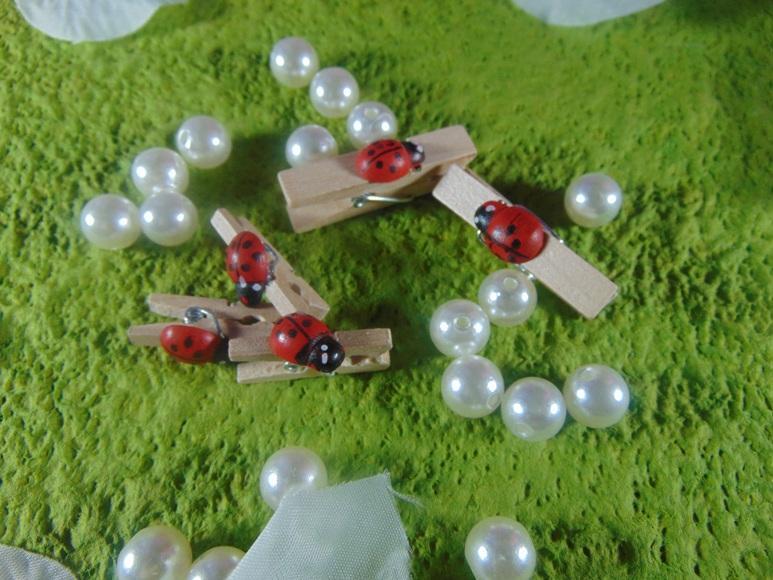 Mollette in legno con coccinella mm. 25 e mm. 35 - Sconti per Fioristi e Aziende
