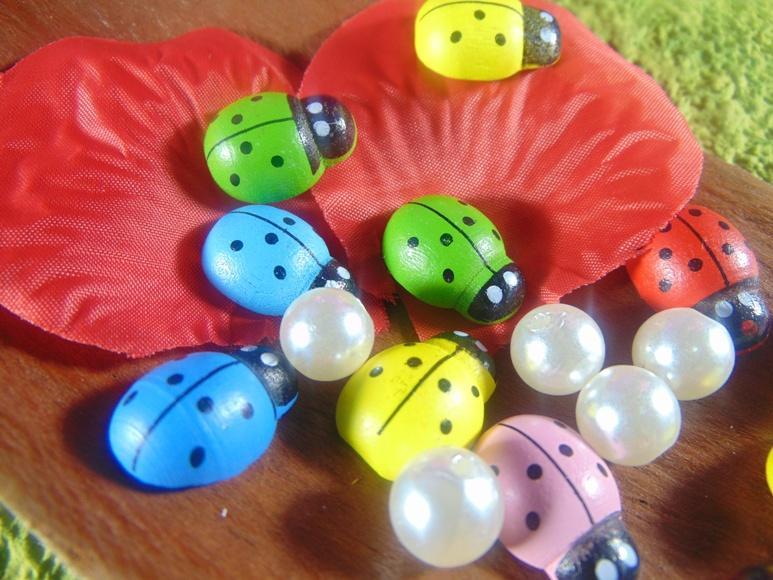 Coccinelle in legno colori diversi con biadesivo mm.13 - mm.18 - mm. 25 - Sconti per Fioristi e Aziende