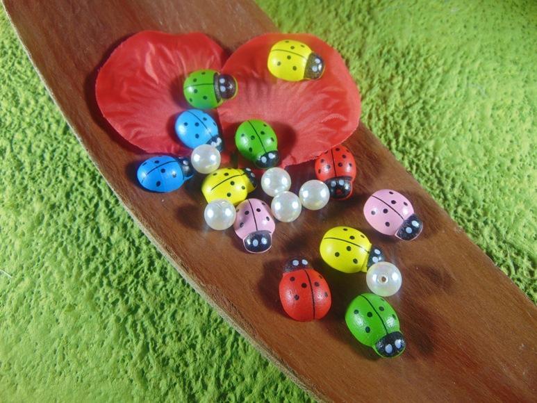 Coccinelle in legno colori diversi con biadesivo mm.13 - mm.18 - mm. 25 - Sconti per Fioristi e Aziende