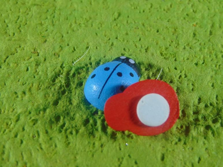 Coccinelle in legno colori diversi con biadesivo mm.13 - mm.18 - mm. 25 - Sconti per Fioristi e Aziende