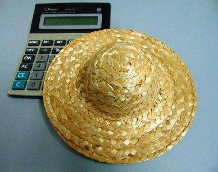 Cappellini in paglia naturale in tre misure - Sconti per Fioristi e Aziende