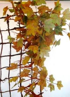 Acero Cadente x 180 foglie a toni Autunnali - Sconti per Fioristi e Aziende
