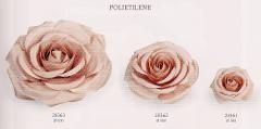 Rosa Gigante dm.30/50/70 - Sconti per Fioristi e Aziende -  in polietilene Bianca - Rosa cipria