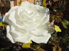 Rosa Gigante dm. 25 cm. - Sconti per Fioristi e Aziende - in polifoam con stelo