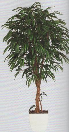 Lemmon Ficus H 180 in vaso - Sconti per Fioristi e Aziende - Artificiale con 1200 foglie
