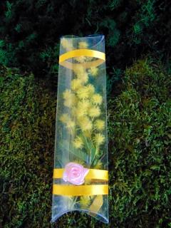 Mimosa fresca in tubo PVC cm. 15 - Sconti per Fioristi e Aziende