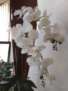 Orchidea Falenopsis H 98 artificiale - Sconti per Fioristi e Aziende