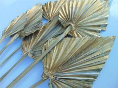Palm Spear  Naturale Colorata - Sconti per Fioristi e Aziende
