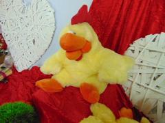 Gallo peluches H 40  con cerniera - Sconti per Fioristi e Aziende