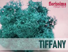 Muschio Nordico Naturale Tiffany gr. 500 Preservato- Sconti per Fioristi e Aziende Fiorissima Lichene preservato