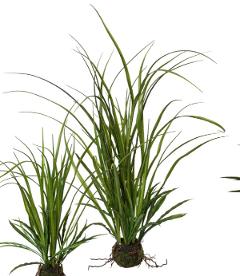 Grass artificiale H 71 cm.  - Sconti per Fioristi e Aziende - Kokedama in sfera muschiata