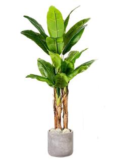 Banano H 150 Artificiale x 3 con 21 foglie e vaso - Sconti per Fioristi e Aziende