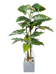 Colocasia H 180 Artificiale con 19 foglie in vaso - Sconti per Fioristi e Aziende