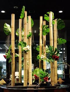 Canna di Bamboo dm 4 / 5 H 200 - 250 - 300 - Sconti per Fioristi e Aziende