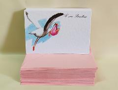 Biglietti stampati x 50 nascita bambina con buste colorate - Sconti per Fioristi e Aziende