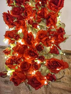 Pannello di rose rosse con luci led 35x100 cm Adatto per Fioristi, Garden e San Valentino