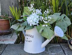 Annaffiatoio da giardino lt. 2 - Sconti per Fioristi e Aziende - Flowers & Garden - Bianco in latta
