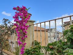 Bouganvillea cadente Fuxia H 130 cm Artificiale - Sconti per Fioristi e Aziende e Wedding