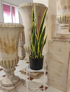 Sanseveria Trifasciata H 70 - Sconti per Fioristi e Aziende  - Artificiale con vaso