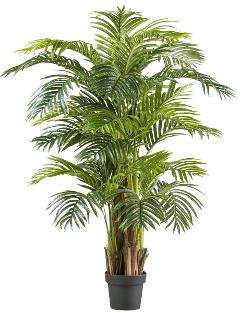 Areca Palm x 3 H 130 in vaso - Sconti per Fioristi e Aziende - Artificiale