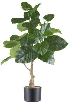 Ficus Petiotalis Verde H 85  - Sconti per Fioristi e Aziende - Artificiale con vaso
