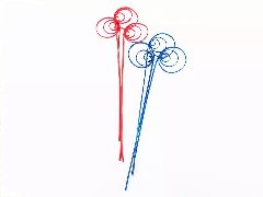 Cane Coil x 8 Colorato - Sconti per Fioristi e Aziende  - H 70/80