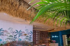 Soffitto Spighe di grano preservate per Ristoranti, Hotels e Resort . - a metro quadrato