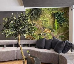 Giardini Vegetali Preservati - Sconti per Fioristi e Aziende . - Stile Caserta