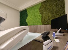 Parete Moss Stabilizzata - Sconti per Fioristi e Aziende . - Stile Flag 3