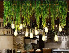 Soffitto con Vegetali Verdi Pendentii - Sconto per Fioristi e Aziende  - Per esterno ed interno