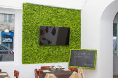 Parete Moss Stabilizzata - Mod. Pepe Verde . - Wall Moss a metro quadrato