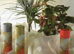 Glitter Spray per fiori freschi - Sconti per Fioristi e Aziende  - PNP Ml. 300