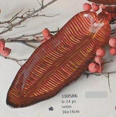 Vassoio Foglia Rossa in vetro - Sconti per Fioristi e Aziende - venato