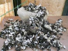 Muschio di Roccia gr. 250 ( Stones Moss ) Naturale preservato  - Sconti per Fioristi e Aziende
