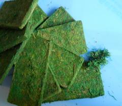 Muschio Dry Moss gr. 940 Conf. 10 mattonelle - Sconti per Fioristi e Aziende