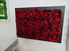 Quadro Roseto   cm. 50 x 35  con 24 rose