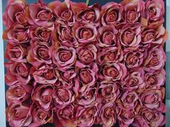 Quadro roseto  cm. 55 x 45 con 48 rose