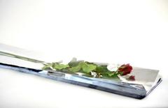 Busta per rosa H 100 x 50  - Confezione da 100 fogli  - Fondo Argento + Neutro