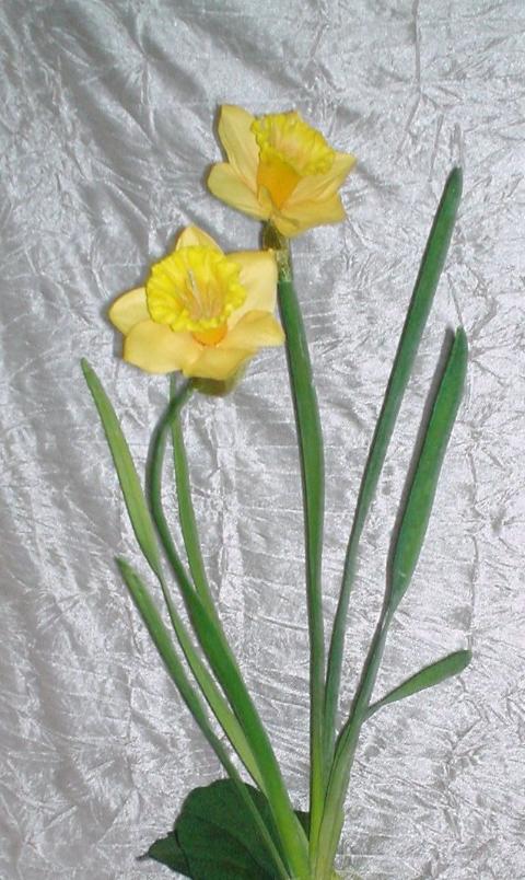 Narciso Lusso H 50  - Sconti per Fioristi e Aziende . - in gomma