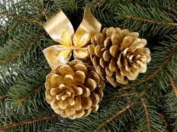 Pigne Chiuse Picea dm. 4/5  - Sconti per Fioristi e Aziende . - H 7/10 Conf. 1 Kg.