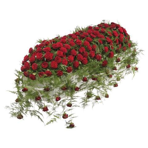 Gabbietta con spugna cm. 100 H 10  - Sconti per Fioristi e Aziende - Confezione 12 Pz.