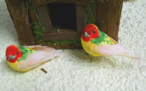 Canarini x 12 con piume naturali - Sconti per Fioristi e Aziende