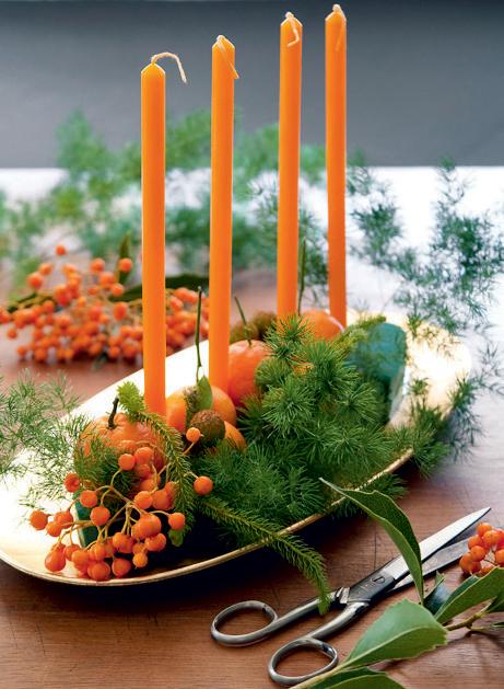 Asparagus  Myrocladius Naturale Stabilizzato - Sconti per Fioristi e Aziende