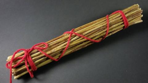 Achillea fascio cm. 40 profumata - Sconti per Fioristi e Aziende