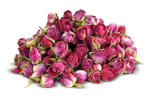 Teste di rosa stabilizzate naturali - Sconti per Fioristi e Aziende