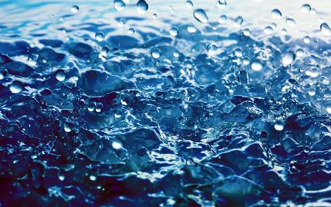 Colorante liquido per Acqua flacone da ml. 250 - Sconti per Fioristi e Aziende