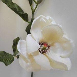 Magnolia Sulungiana H 100  in poliester - Sconti per Fioristi e Aziende