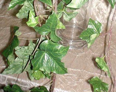 Edera Verde Cadente H 100  - Sconti per Fioristi e Aziende - Con 200 foglie