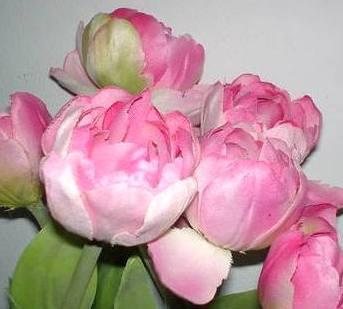 Tulipani x 6 legati Artificiale in poliestere - Sconti per Fioristi e Aziende